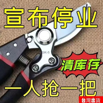 🔥臺灣出貨🔥德國進口剪樹強力 果樹專用 園藝修枝剪 傢用花木葡萄剪子 修剪樹枝 強力剪刀 花園修樹枝剪刀 SGSD