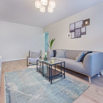 【山德力】現代風短毛大地毯 195X290CM 菲斯