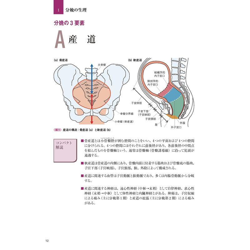 THE 分娩: ビジュアルで学ぶ 生理学・助産診断・分娩介助のすべて