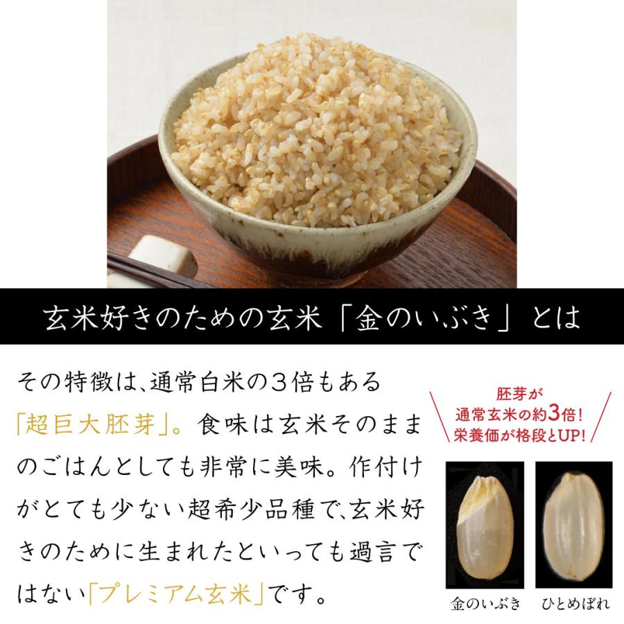 幸南食糧 プレミアム玄米 ごはん プレミアム 玄米 ご飯 おくさま印 金のいぶき 120g 48個 ケース販売