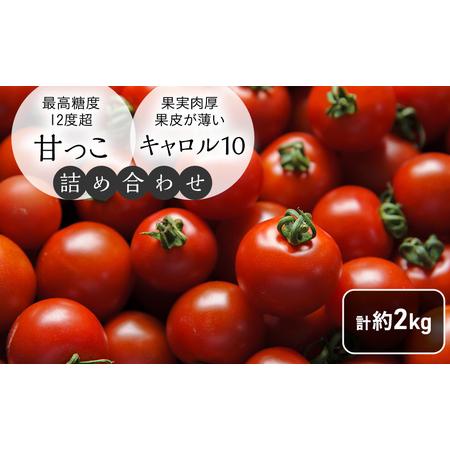 ふるさと納税 北海道 富良野市産 完熟ミニトマト 2種 計約2kg 甘っこ キャロル10 各1kg×2 詰め合わせ トマト 甘い 野菜 新鮮 数量限定 先.. 北海道富良野市