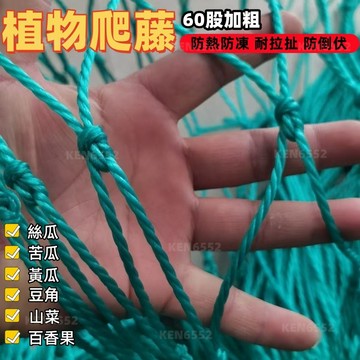 【台灣出貨】植物爬藤網 加粗60股  藤蔓植物搭架網 養殖網 圍網絲瓜爬藤網 耐用 葡萄爬藤網 百香果爬藤網 攀爬網