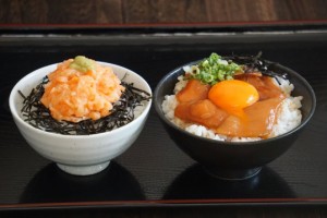 『サーモン丼4食セット』 サーモン漬け丼＋サーモンネギトロ丼 各2食 合計4食（1食80g） ※冷凍 送料無料