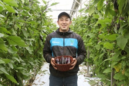 農家直送!高知県安芸市産　朝採れナス　1.5kg