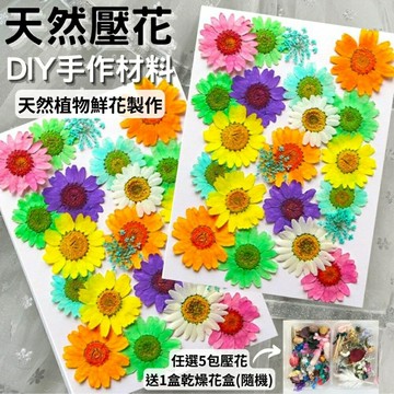 【A-ONE】DIY乾燥花超值包 乾燥花材料包 幼兒園 手工自製天然壓花 乾花 自製書籤 花 乾燥花