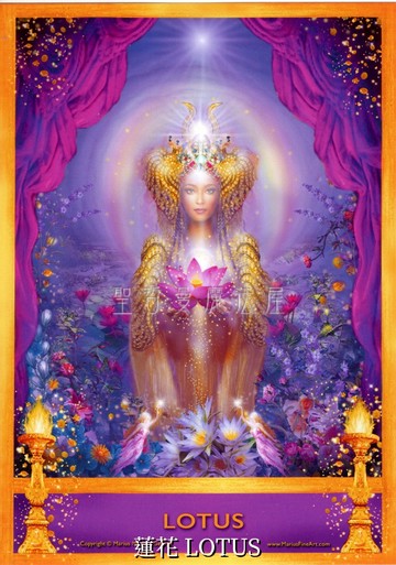 蓮花 LOTUS【5*7吋美國進口正版作品】精靈天使精油神諭卡 - 精油天使系列畫