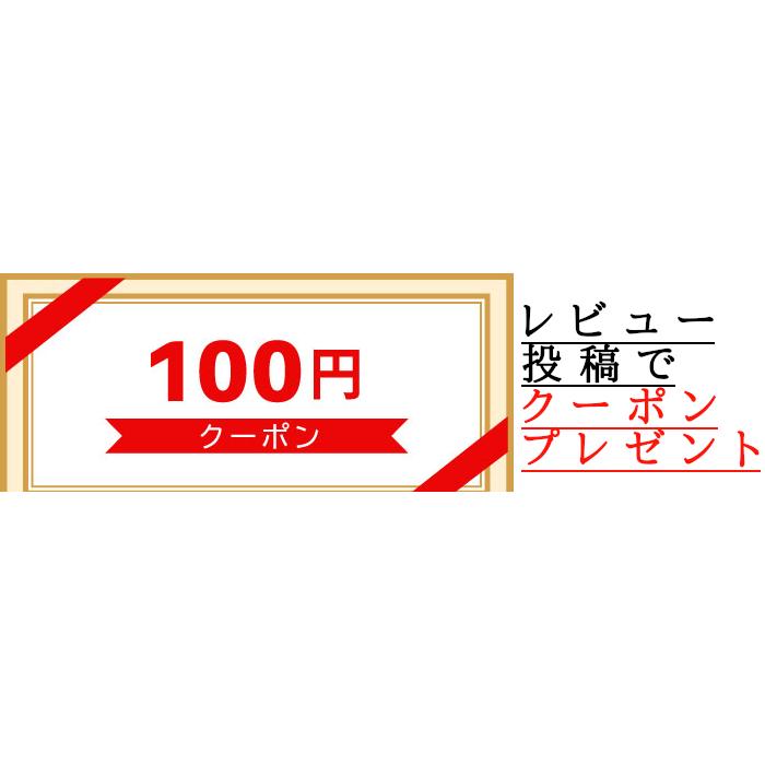 新米 米 10kg 令和5年産 茨城県産コシヒカリ 白米 10kg(10kg×1袋) 送料無料 お米 10kg