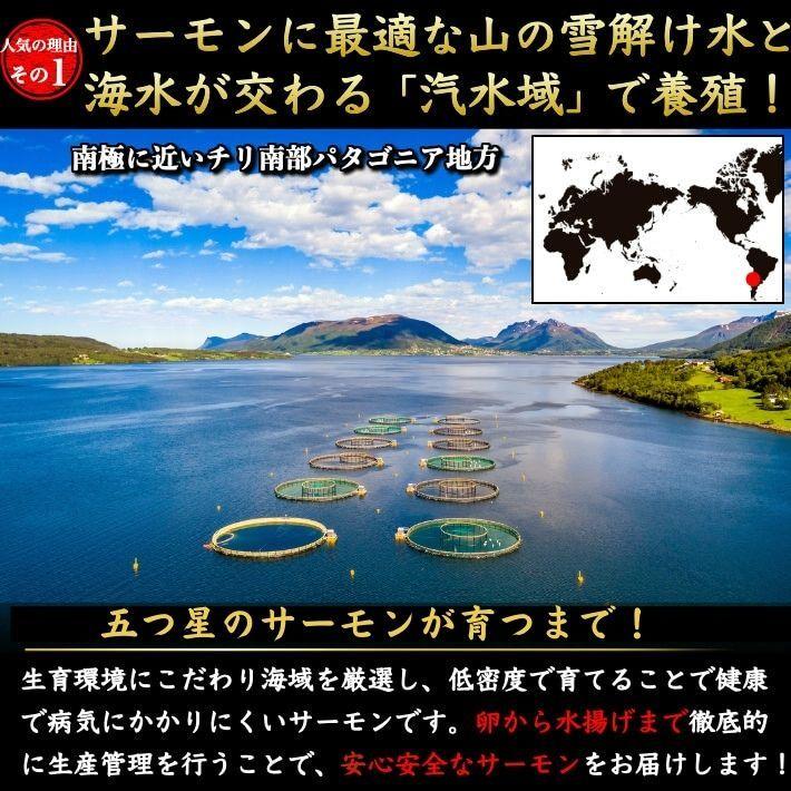 お刺身とろサーモン 特大 1kg×2 骨なし 皮付 ギフト 誕生日 海鮮 贈答