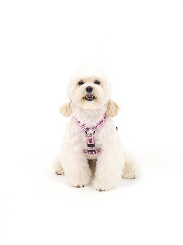 [Kinikini X EarpEarp] SWAG COVY H - HARNESS - PINK