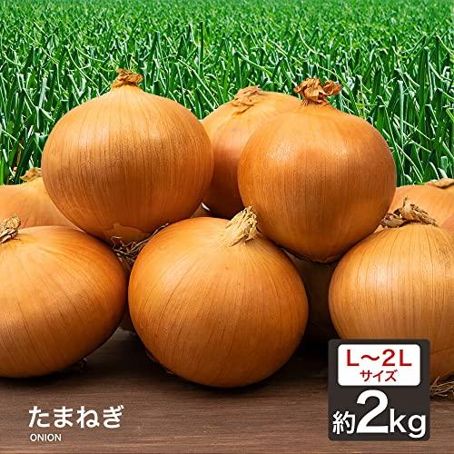 たまねぎ 国産 Ｌ〜２Ｌ 玉葱 ご家庭用 大量 野菜 玉ねぎ (2kg)