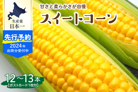 北海道十勝芽室町 上美生のたからばこ とうもろこしゴールドラッシュ 12～13本 ポストカード セット me029-001-24c