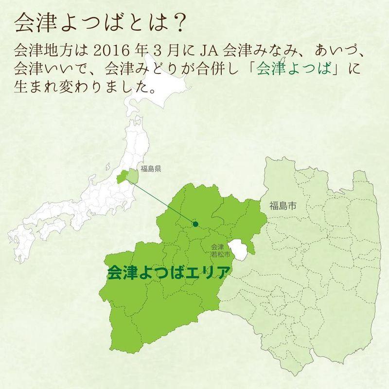 精米 会津産 無洗米 コシヒカリ 5kg 令和4年産