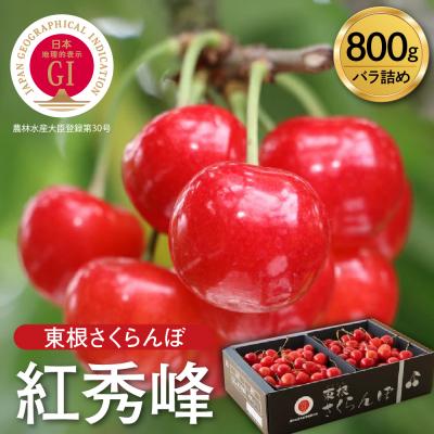 ふるさと納税 東根市 GI「東根さくらんぼ」 2024年産 紅秀峰800gバラ詰め JA園芸部提供