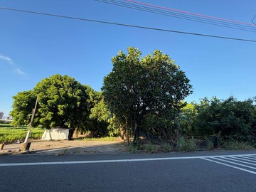 近88快速道路｜大寮大面寬潛力增值農地｜高雄市大寮區大寮段