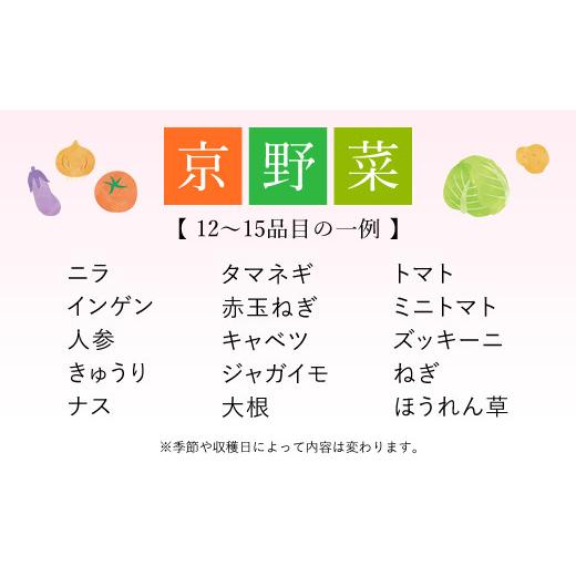 ふるさと納税 京都府 福知山市 京野菜15品目詰合せ  ふるさと納税 京野菜 野菜 京都府 福知山市