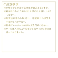 『予約受付』唐津産 はまさき 3kg 化粧箱 みかん ミカン オレンジ フルーツ 果物 ギフト