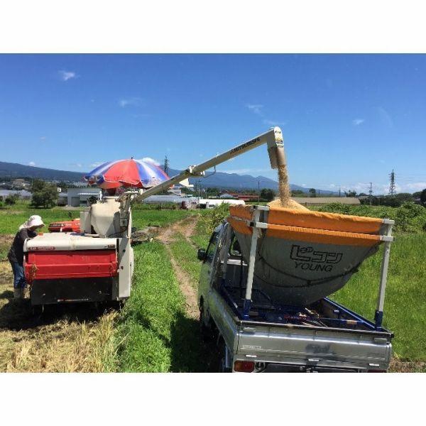 令和5年産　霊峰富士山の湧き水が作った絶品コシヒカリ 30kg （30キロ）  100％新米 玄米 お米 コシヒカリ 静岡産　単一原料米