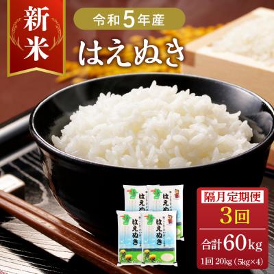 ふるさと納税 河北町 2023年12月下旬スタート はえぬき60kg(20kg×3回)隔月定期便 山形県産