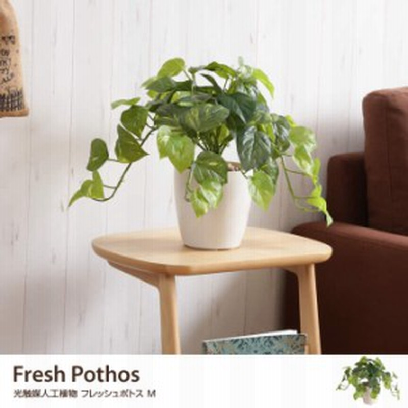 クーポンで15 Off G Fresh Pothos フレッシュポトスm 人工植物 観葉植物 光触媒 水やり不要 お手入れ不要 グリーン リアル 通販 Lineポイント最大1 0 Get Lineショッピング