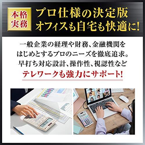 カシオ 本格実務電卓 12桁 日数時間計算 グリーン購入法適合 デスクタイプ DS-20DB-N