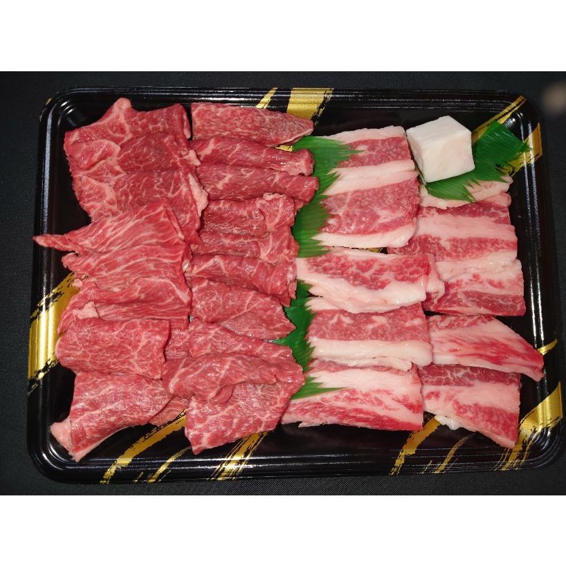 国産牛特選カルビ＆赤身焼肉セット(500g)