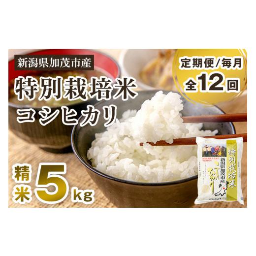 ふるさと納税 新潟県 加茂市 新潟県加茂市産 特別栽培米コシヒカリ 精米5kg 白米 従来品種コシヒカリ 加茂有機米生産組合