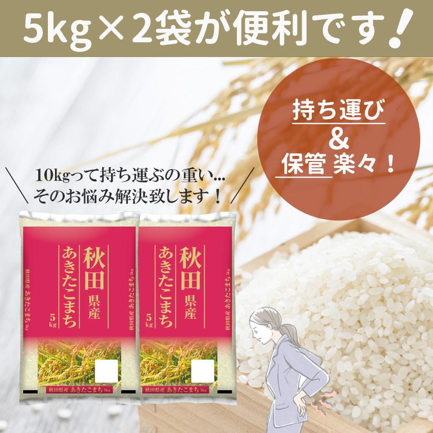 新米 米 10kg あきたこまち 秋田県産 (5kg×2) 白米 お米 ごはん 工場直送 お粥