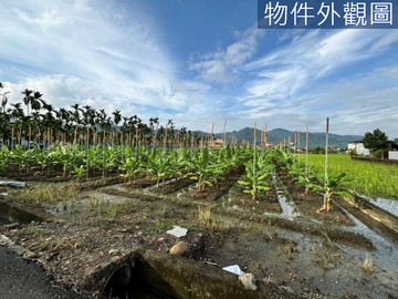 降價了！近美濃市區~中壇段優質臨路方正農地(二)｜高雄市美濃區中壇段