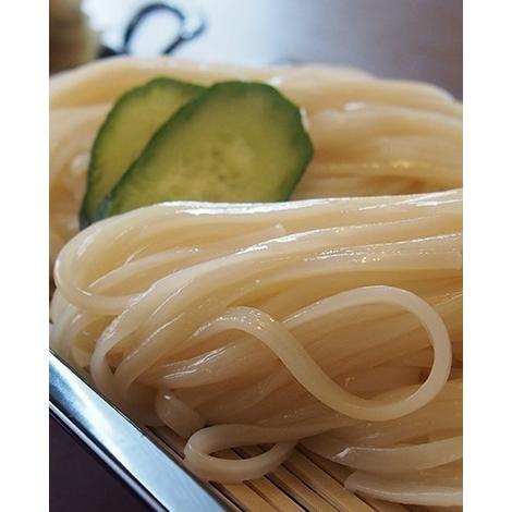 国産小麦使用 稲庭うどん 稲庭 手業 うどん 業務用 ５００g ６袋セット