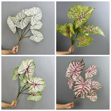 網紅仿真葉材 白芋葉 ins風盆栽 家居裝飾 室內攝影道具 多款 入