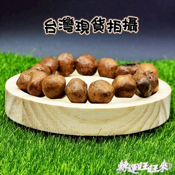 【台灣現貨】跳出 阿羅漢 天然 龍宮 舍利 精品 擺件 飾品 轉運 開運 招財 招 好運 人緣 桃花 礦石 靈招