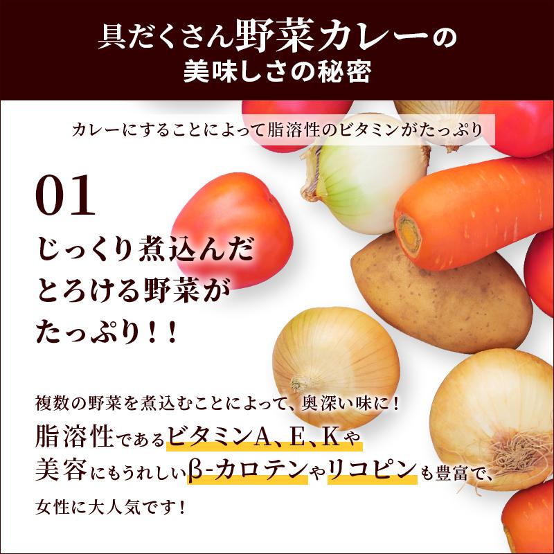 カレー レトルト 野菜たっぷり カレー 中辛 国産 送料無料 博多 長期常温保存 具だくさん野菜カレー 200g×10パック メール便