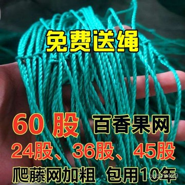 🔥臺灣出🔥爬藤網攀爬網保護網防鳥園藝種植網爬藤架家禽養殖網養鷄網護欄網 葡萄百香果爬藤網 攀爬網 藤蔓植物搭架網 XEX