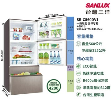 【SANLUX 台灣三洋】 SR-C560DV1
