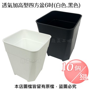 透氣加高型四方盆6吋10個/組(黑色.白色共2色可選)白色