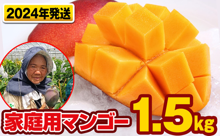 芳醇な香り　とろける食感　家庭用マンゴー1.5kg