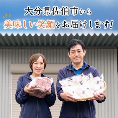 ふるさと納税 佐伯市 おおいた和牛 カルビ 2種焼肉セット (合計550g・赤身カルビ250g カルビ300g)