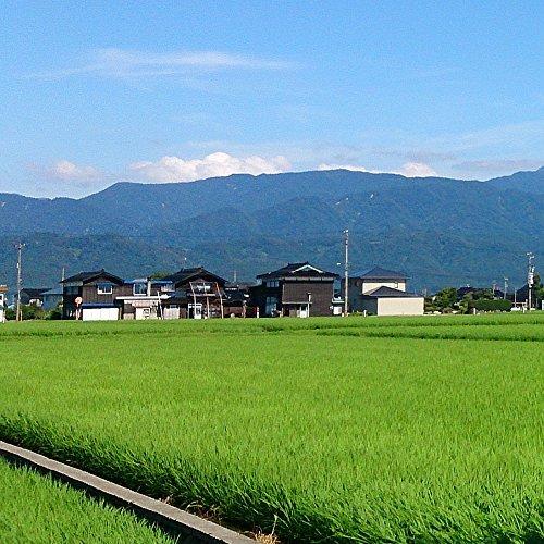  令和３年産 富山県産 コシヒカリ 黒部川扇状地で育ったドリームファームのこだわり米 (5kg)