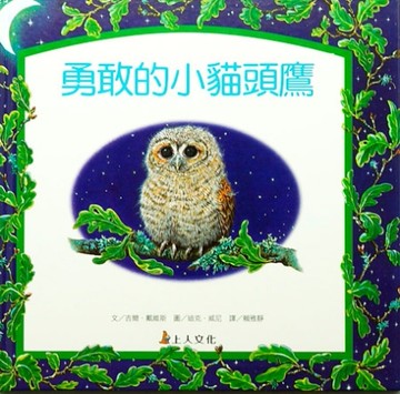 勇敢的小貓頭鷹