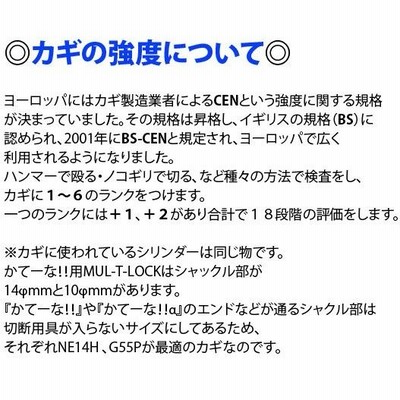 【土日限定価格】かてーな! ! 極太直径2.2cm 最強チェーン 安心 盗難防止