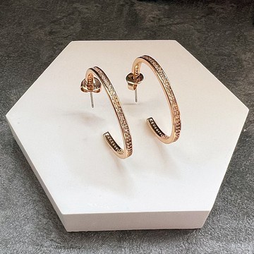 細緻閃耀排鑽耳環 (M)