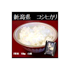 令和5年産　新潟産こしひかり（コシヒカリ）10kg