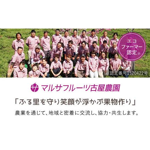 ふるさと納税 山梨県 笛吹市 ＜2024年先行予約＞特大桃 5〜6個入り 約2.0kg 山梨一宮産の桃 朝採り 産地直送  088-001