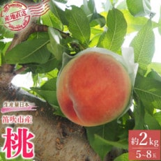 先行受付 厳選!桃 約2kg(5～8玉) 山梨県笛吹市産