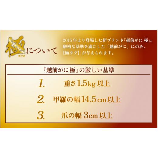 ふるさと納税 福井県 越前町 越前がに本場の越前町からお届け！越前がに極 浜茹で × 1杯（生で約1.5kg）極タグ付き！正真正銘の越前がに極！…