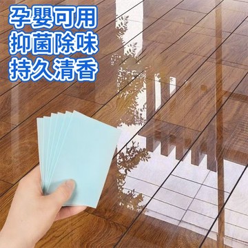 地闆清潔片 留香 地板打蠟 去汙 多效合一清潔片 地磚清潔片 強力去汙清潔片 留香清潔片 去霉防潮家用551