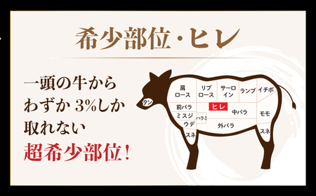 佐賀牛ヒレステーキ 200g（200g×1パック）A5ランク 佐賀牛 佐賀牛A5 佐賀牛ヒレ 佐賀牛フィレ 佐賀牛ステーキ 佐賀牛赤身肉 佐賀牛赤身 佐賀牛牛肉 佐賀牛A5ランク 佐賀牛焼肉 [HCS015]