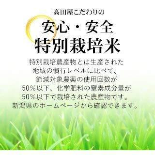 新米 精白米 5kg 新潟県産 こしいぶき 安心安全な特別栽培米 令和3年産(5kg)