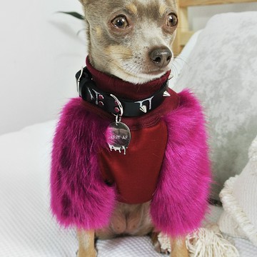服飾鞋帽 eye of dog 人造皮草 寵物衣服 狗狗衣服 醬果梅 XXXS