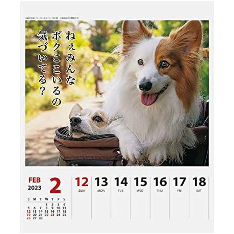2023年 コーギー川柳(週めくり) カレンダー 1000123653